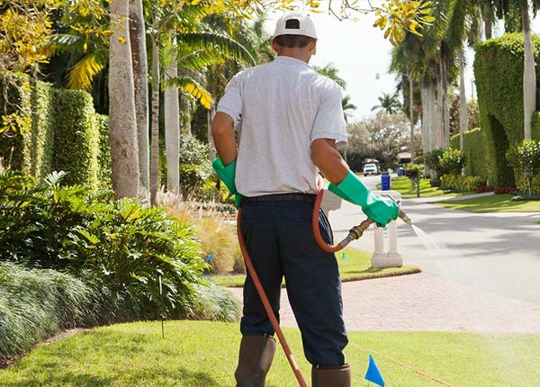 About Woodsboro TX Pest Control